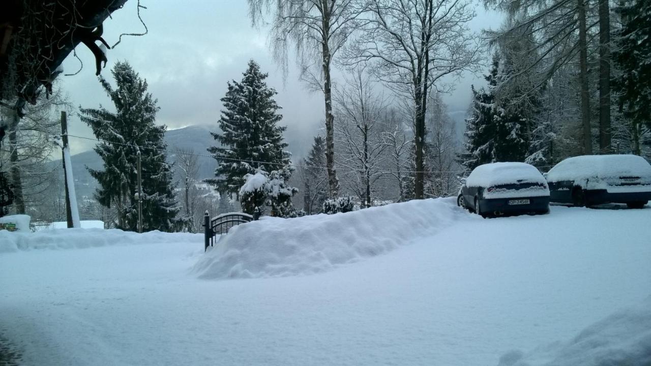 Elsa Haus *