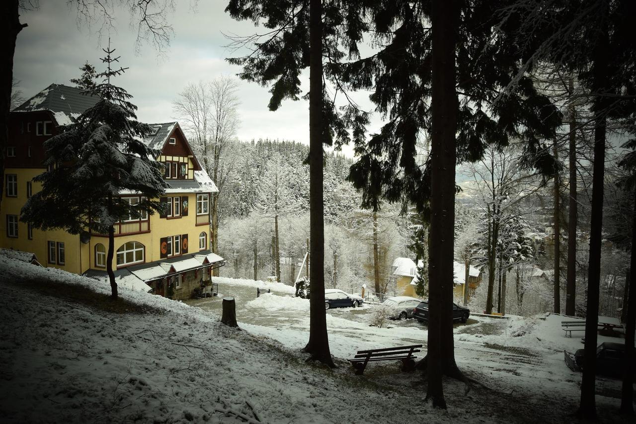 Villa Elsa Haus